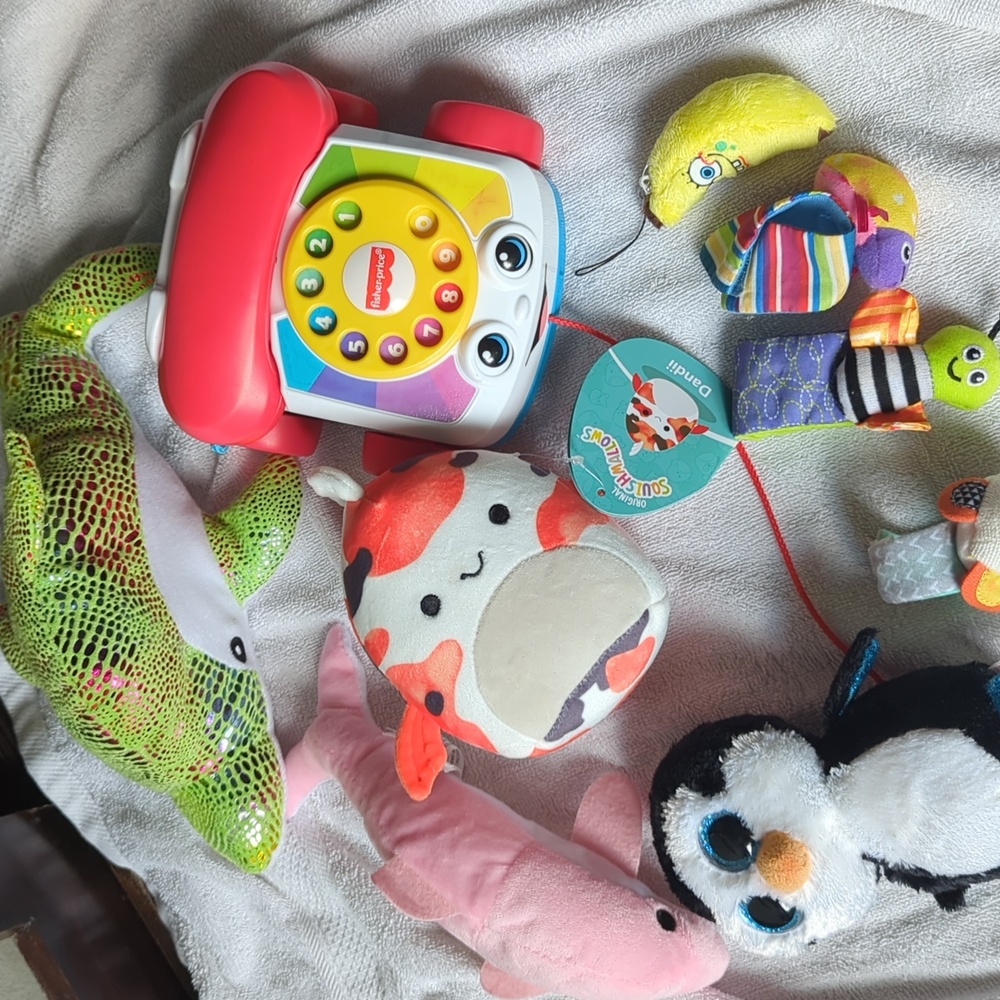 Squishmallow Dandii  Fisher Price Phone Multicolor Plush Toy Stuffed Animals lot